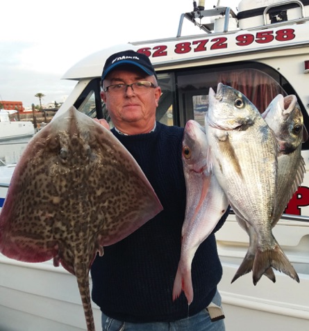 Skate Bream Snapper.jpg Skate Bream Snapper.jpg